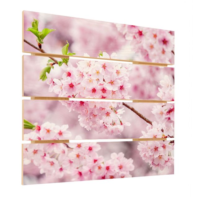 Holzbild - Japanische Kirschblüten - Quadrat