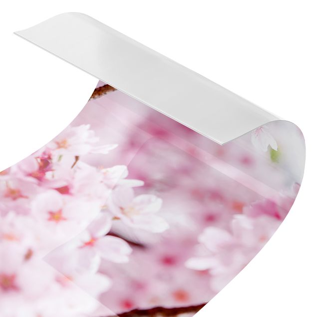 Küchenspritzschutz Japanische Kirschblüten