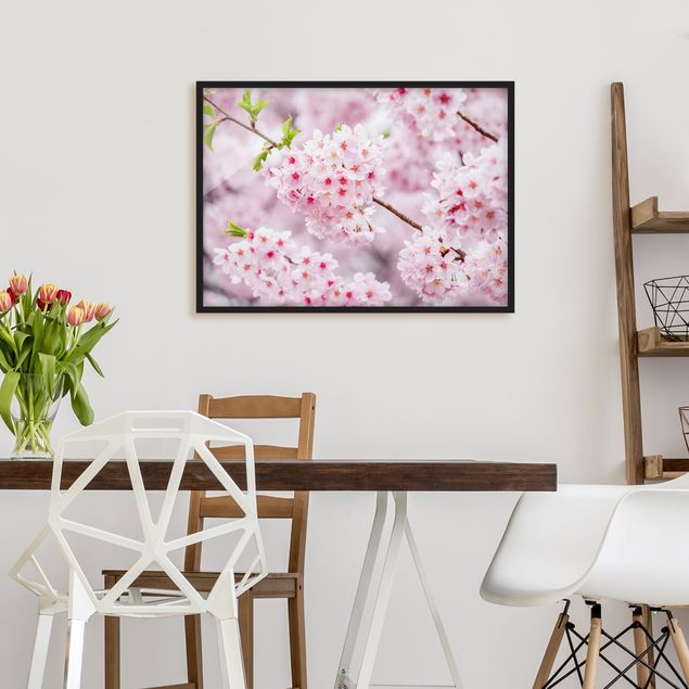 Bild mit Rahmen - Japanische Kirschblüten - Querformat