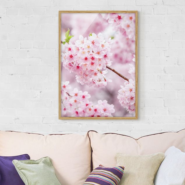 Gerahmte Bilder Blumen Japanische Kirschblüten