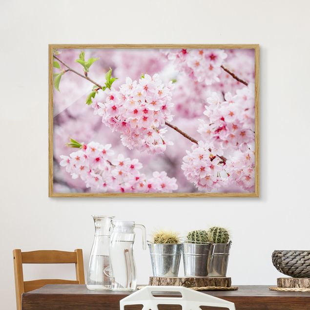 Blumen Bilder mit Rahmen Japanische Kirschblüten