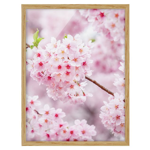 Bild mit Rahmen - Japanische Kirschblüten - Hochformat