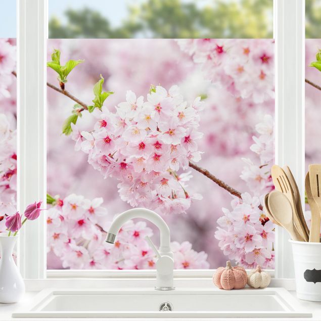 Blumen Fensterbilder Japanische Kirschblüten