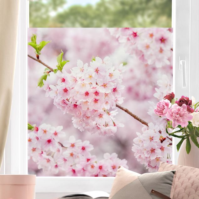 Fensterdeko Frühling Japanische Kirschblüten