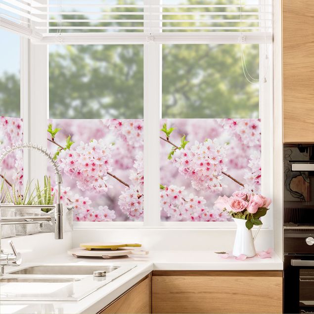 Fensterbilder XXL Japanische Kirschblüten
