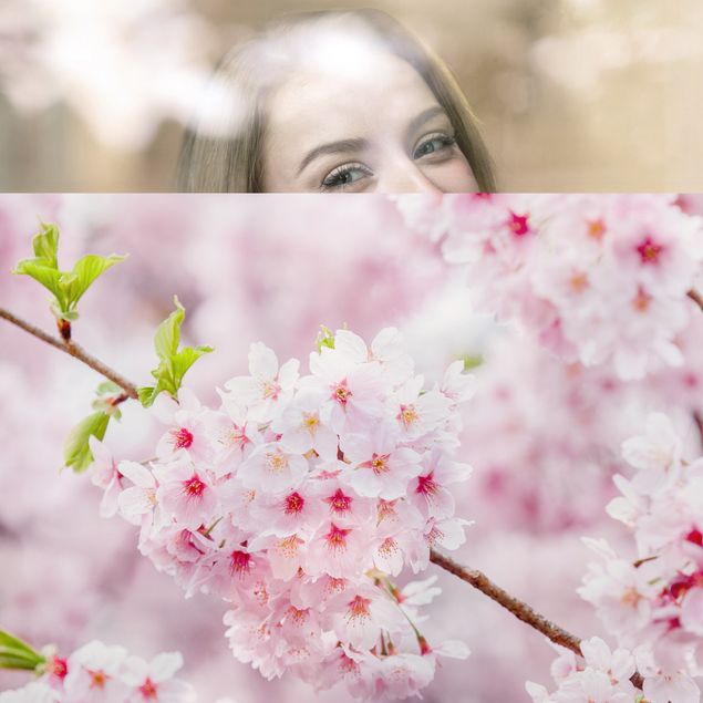 Folie für Fenster Japanische Kirschblüten