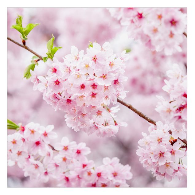 Selbstklebende Fensterbilder Japanische Kirschblüten
