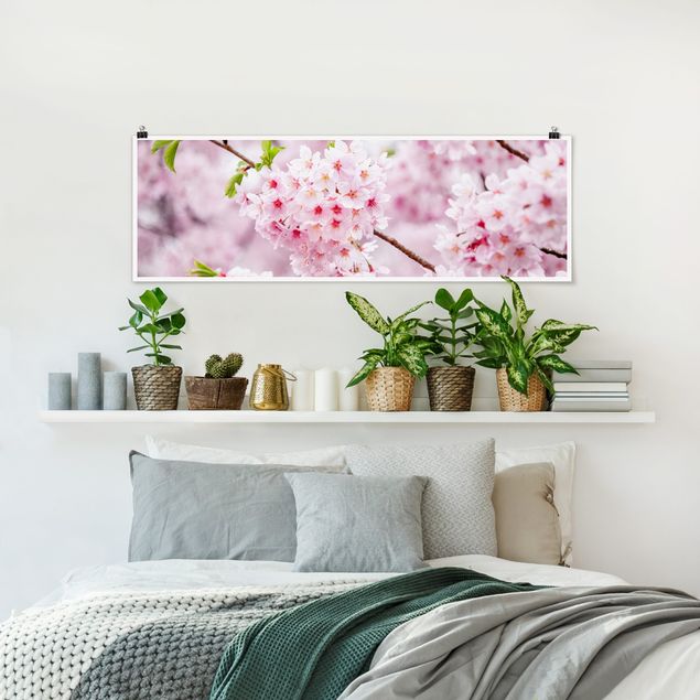 Poster Städte Japanische Kirschblüten