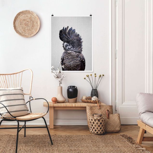 Poster Schwarz-Weiß Kakadu Kanye