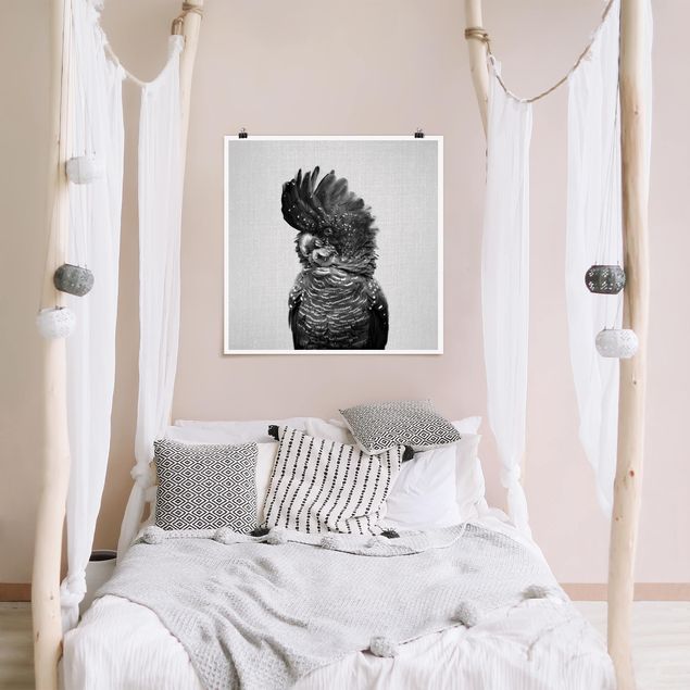 Poster Kinderzimmer Tiere Kakadu Kanye Schwarz Weiß