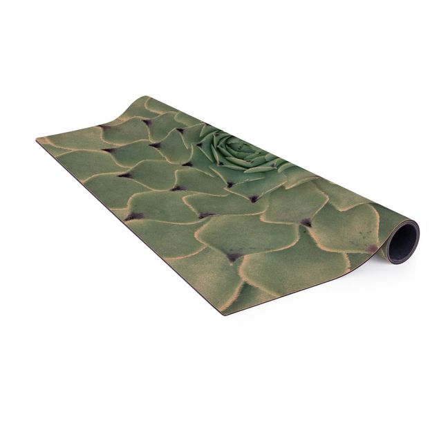 Türkiser Teppich Kaktus Agave