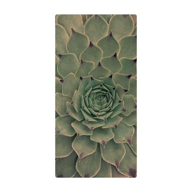 Teppich Esszimmer Kaktus Agave