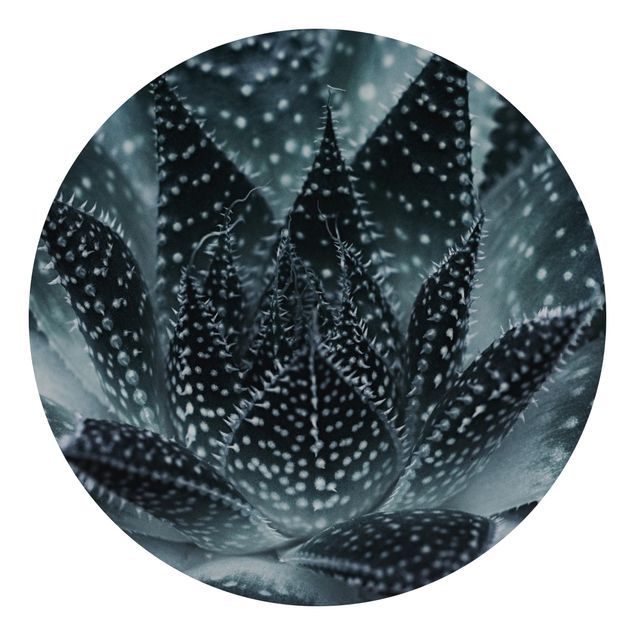 Wandtapete Design Kaktus mit Sternpunkten bei Nacht