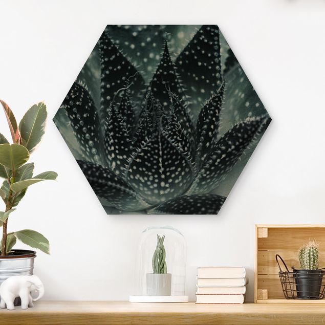 Hexagon Bild Holz - Kaktus mit Sternpunkten bei Nacht