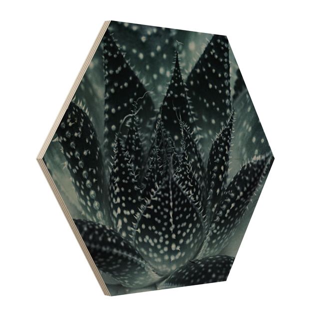 Hexagon Bild Holz - Kaktus mit Sternpunkten bei Nacht