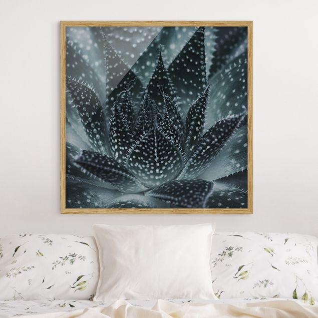 Wandbilder Kaktus mit Sternpunkten bei Nacht