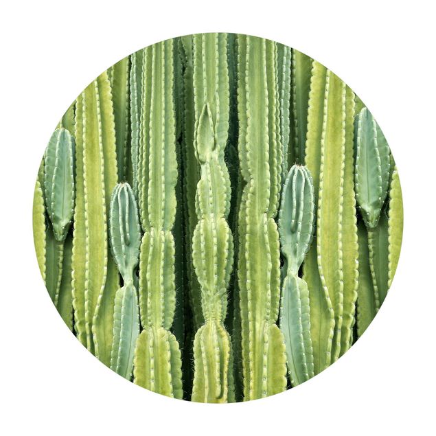 Teppich Natur Kaktus Wand