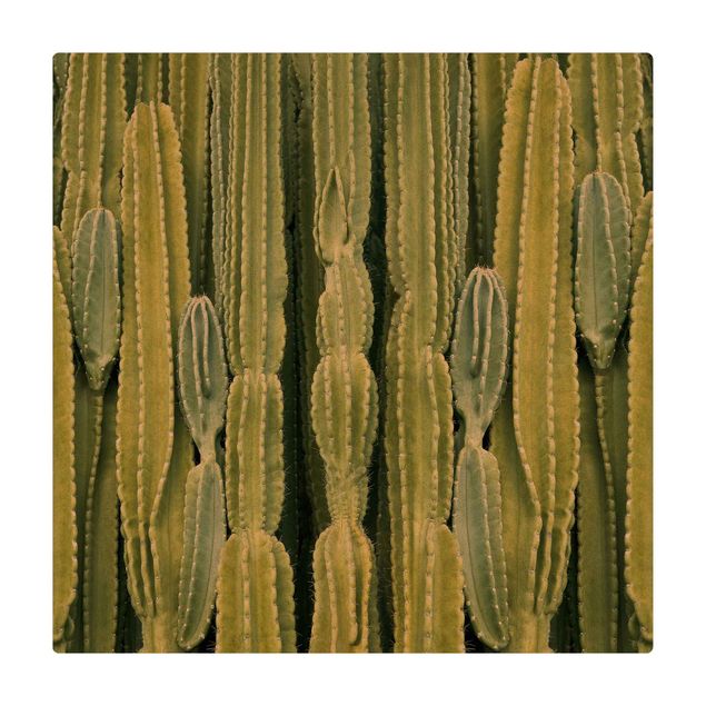 Teppich Esszimmer Kaktus Wand