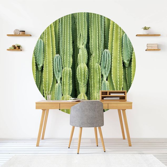 Tapeten rund Kaktus Wand