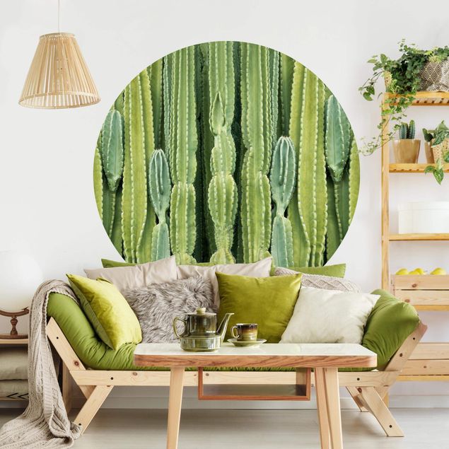 Blumentapete Kaktus Wand