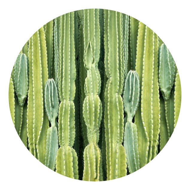 Wellness Tapete Kaktus Wand