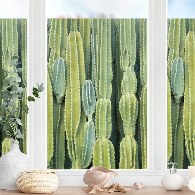 Fensterbilder selbstklebend Blumen Kaktus Wand