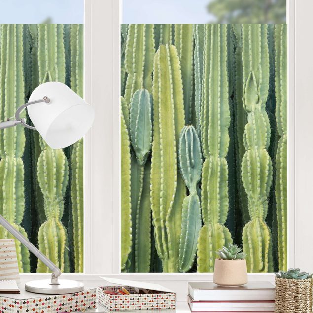 Fensterfolie Farbig Kaktus Wand