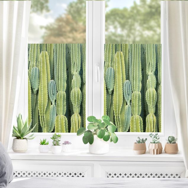 Fenstertattoo grün Kaktus Wand
