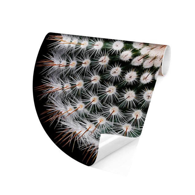 Moderne Tapeten Kaktusblüte
