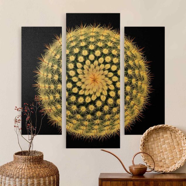 Bilder für die Wand Kaktusblüte
