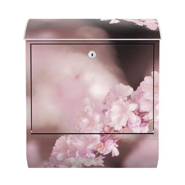 Designer Briefkasten Kirschblüte im Violetten Licht