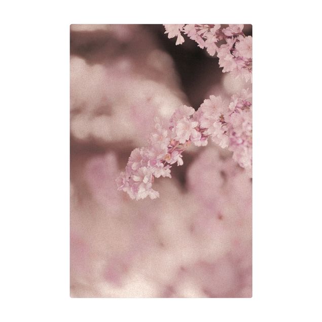Teppich Esszimmer Kirschblüte im Violetten Licht