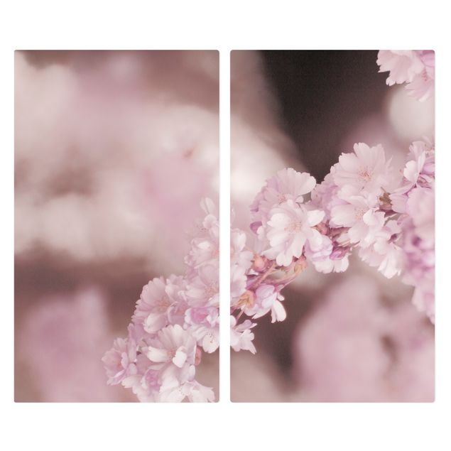 Herdabdeckplatte Glas - Kirschblüte im Violetten Licht