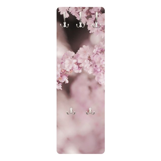 Garderobe - Kirschblüte im Violetten Licht