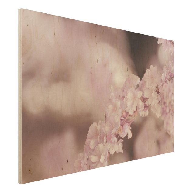 Holzbild - Kirschblüte im Violetten Licht - Querformat