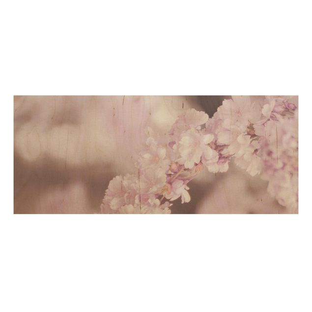 Holzbild - Kirschblüte im Violetten Licht - Panorama