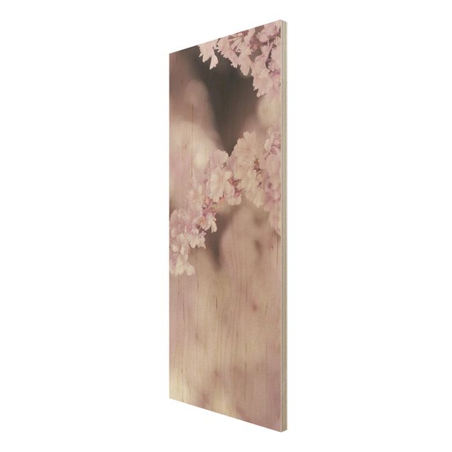 Bilder auf Holz Kirschblüte im Violetten Licht