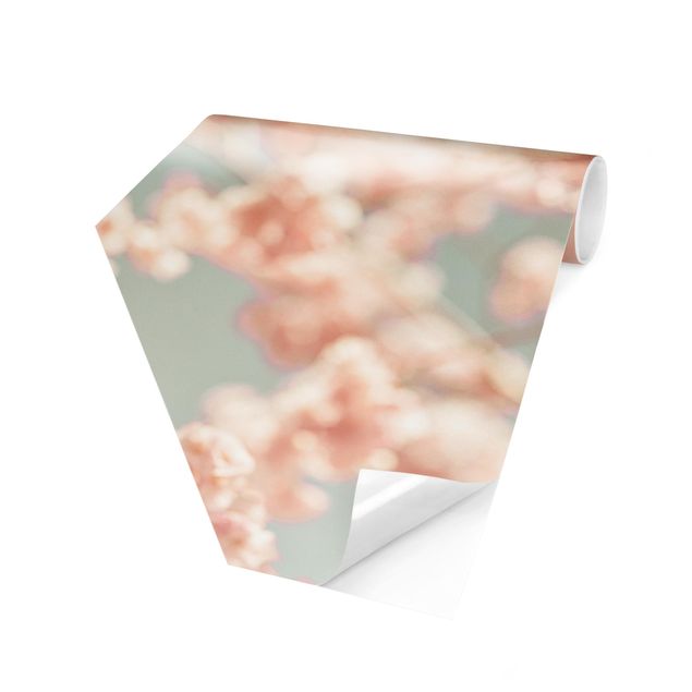 Hexagon Mustertapete selbstklebend - Kirschblüten Glow