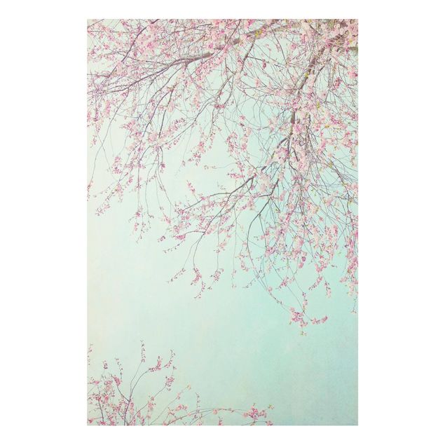 Wandbilder Kirschblütensehnsucht
