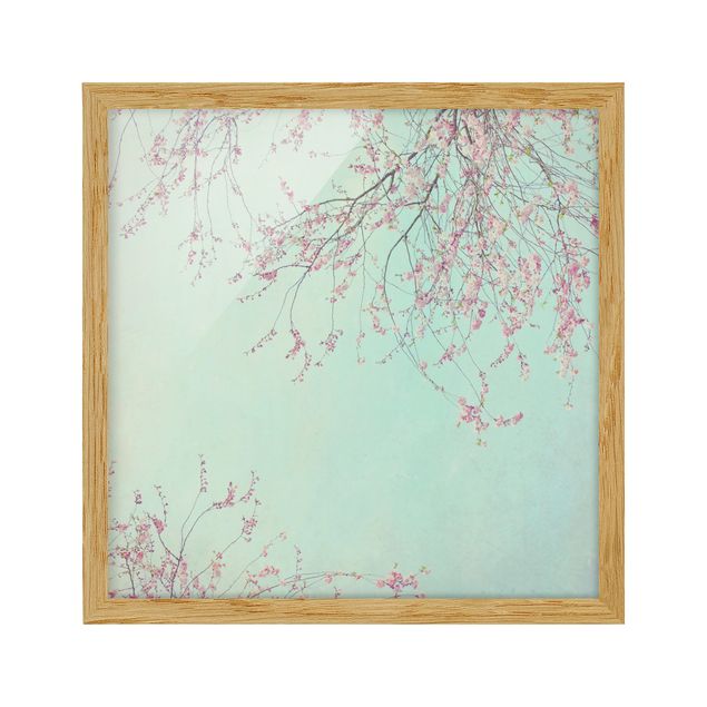 Bild mit Rahmen - Kirschblütensehnsucht - Quadrat