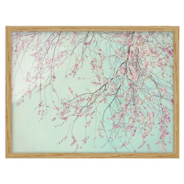 Bild mit Rahmen - Kirschblütensehnsucht - Querformat