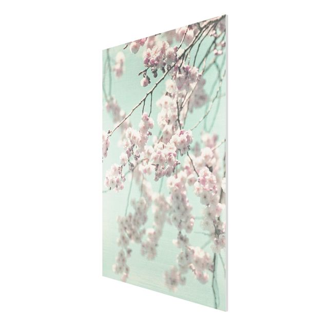 Forex Fine Art Print - Kirschblütentanz auf Leinenstruktur - Hochformat 2:3