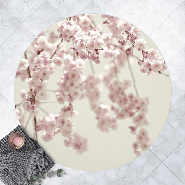 Teppiche Kirschblütentanz