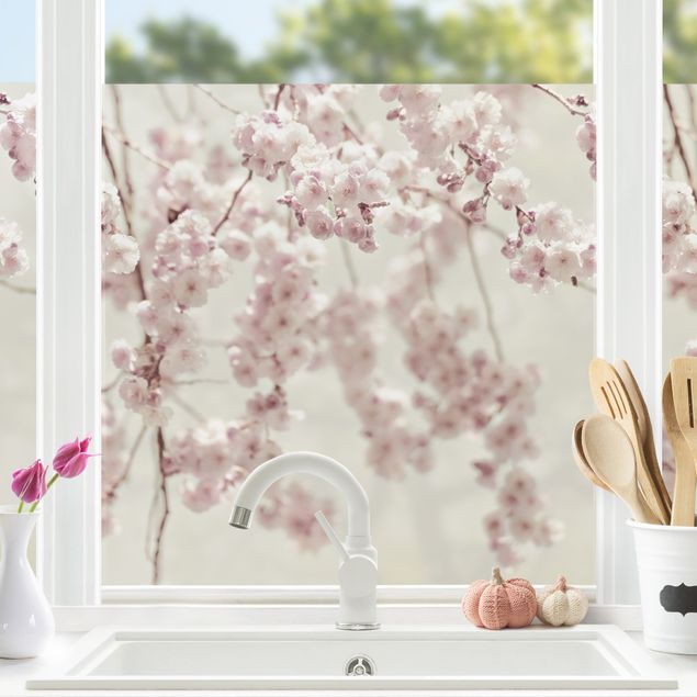 Fensterbilder selbstklebend Blumen Kirschblütentanz