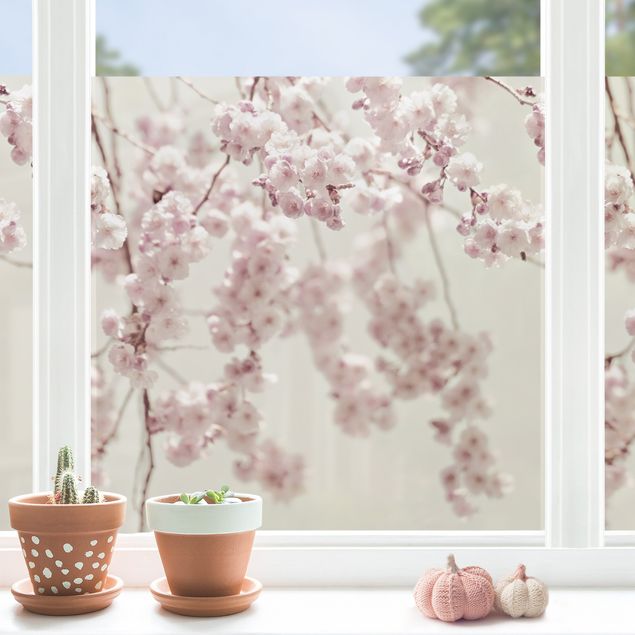 Frühling Fensterdeko Kirschblütentanz
