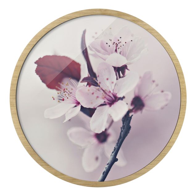 Rundes Gerahmtes Bild - Kirschblütenzweig Altrosa