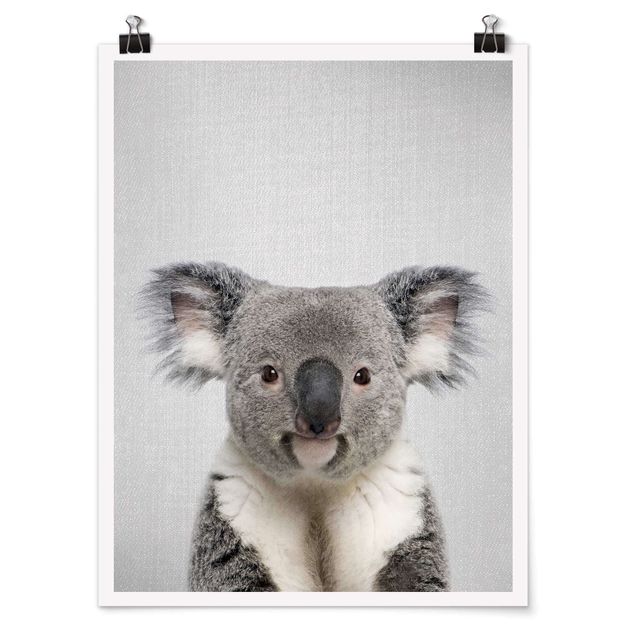 Tierposter Koala Klaus