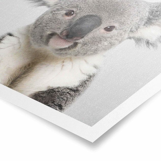 Bilder für die Wand Koala Klaus