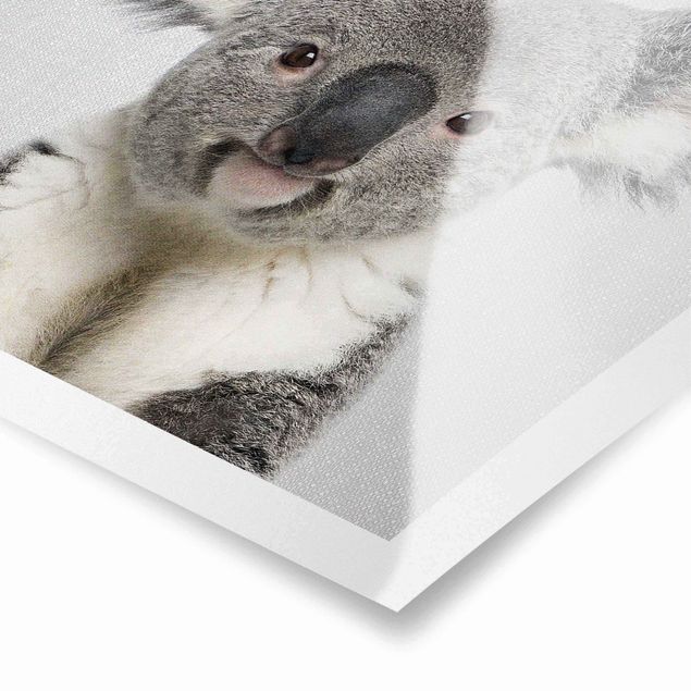 Poster kaufen Koala Klaus