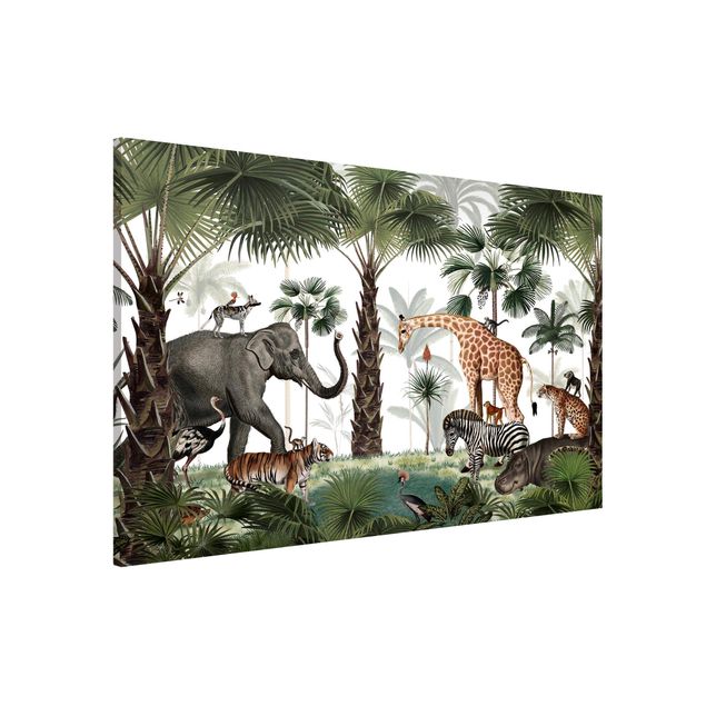 Wandbilder Tiere Königreich der Dschungeltiere